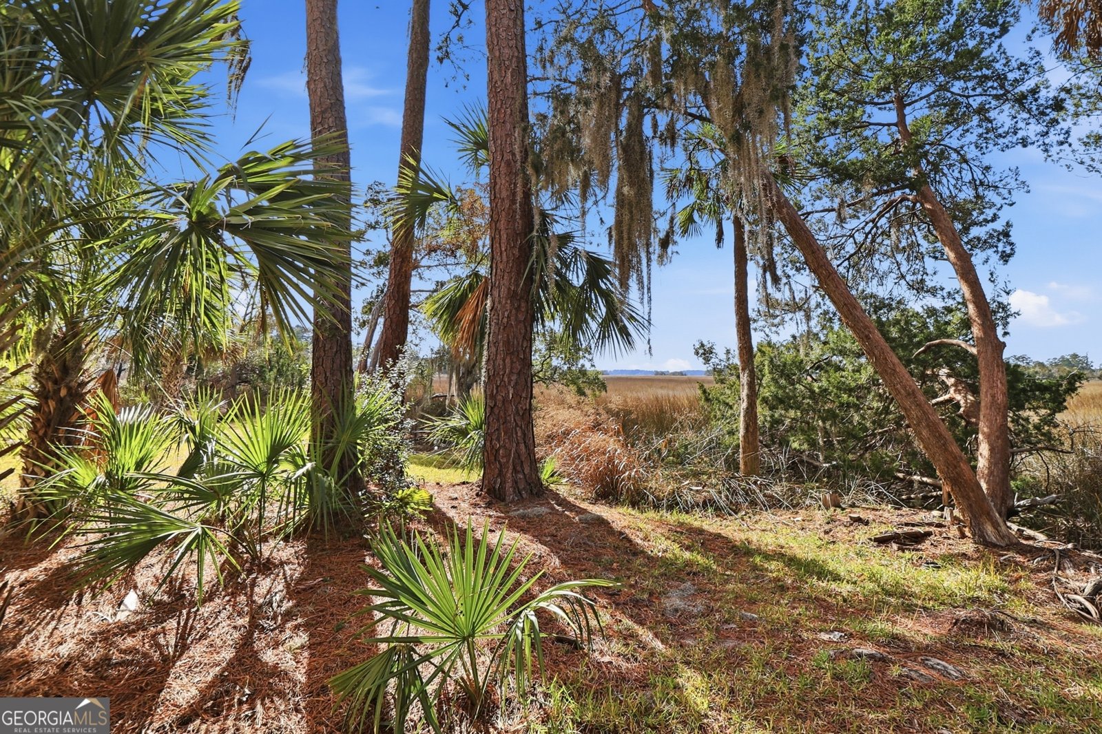 4101 Walden Park Drive Savannah - Photo 22