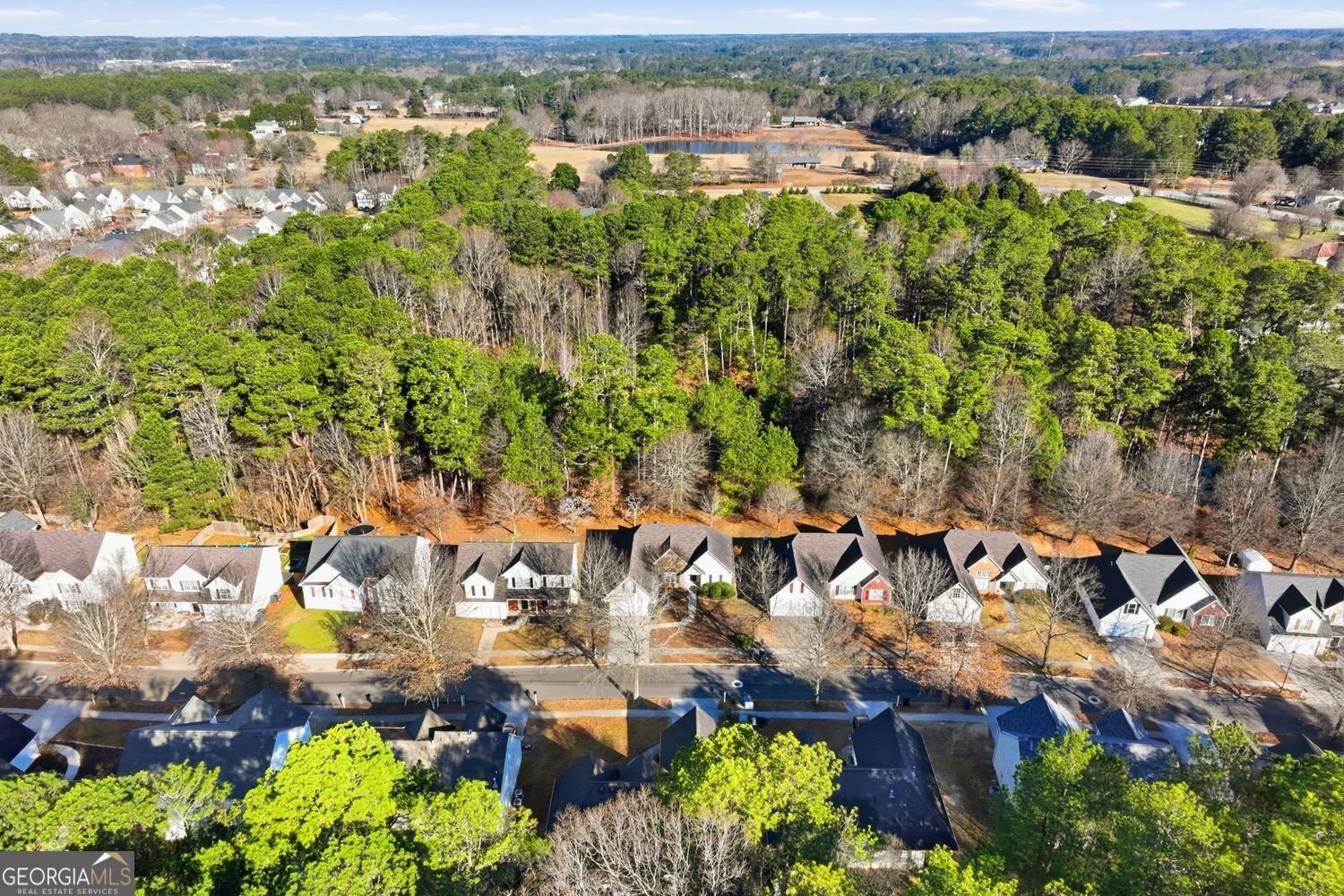 1394 Stephens Pond View Loganville - Photo 31