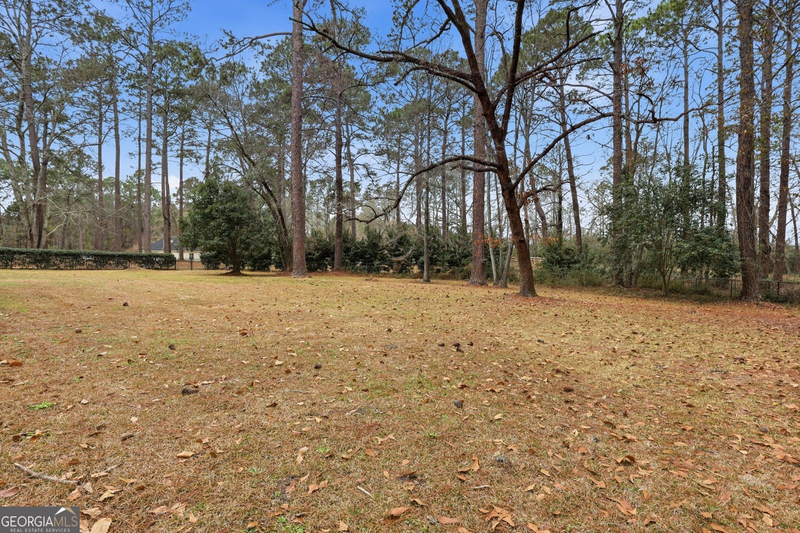 208 Timberline Road Statesboro - Photo 46