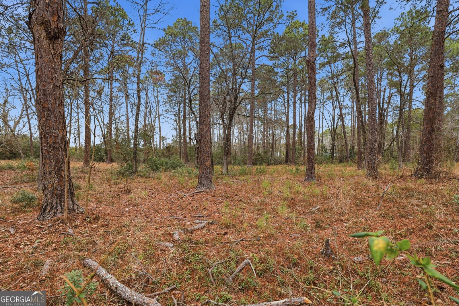 208 Timberline Road Statesboro - Photo 47