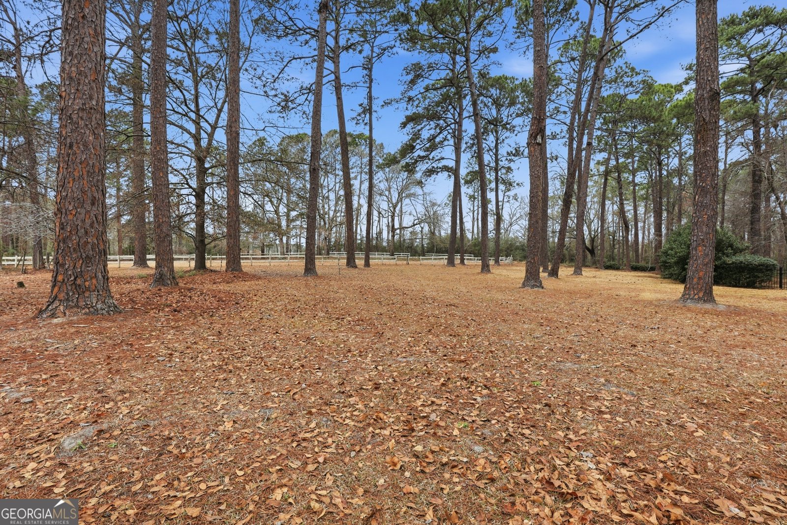 208 Timberline Road Statesboro - Photo 52