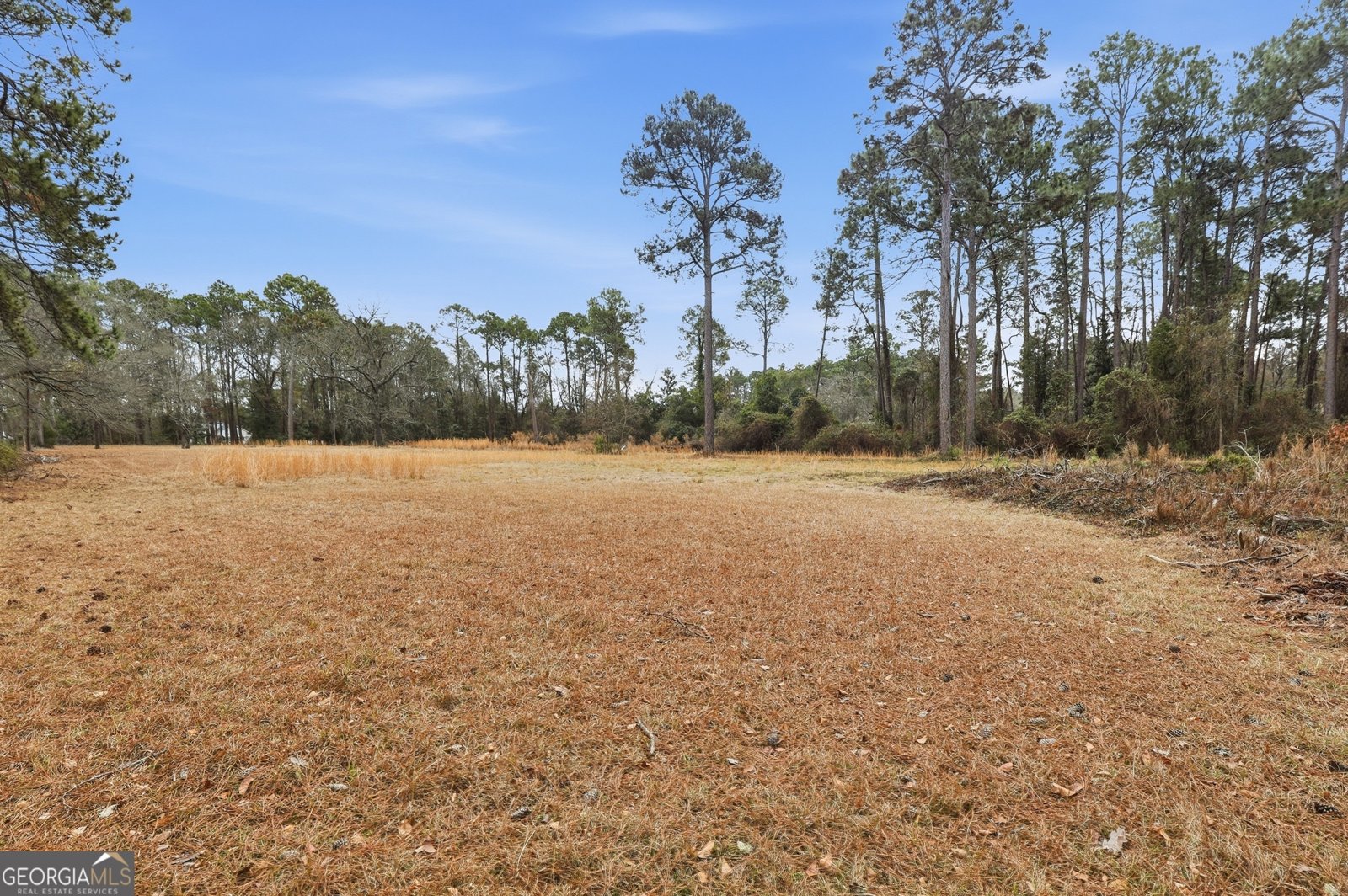 208 Timberline Road Statesboro - Photo 54