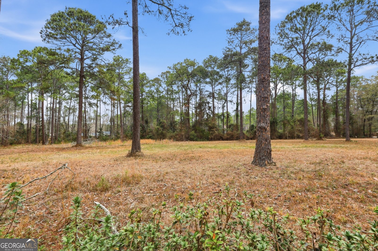 208 Timberline Road Statesboro - Photo 60