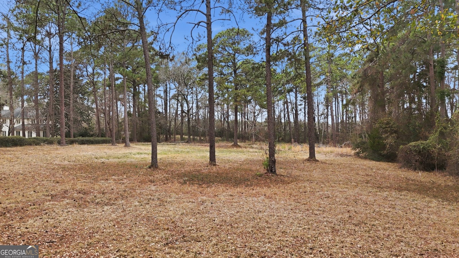 208 Timberline Road Statesboro - Photo 61