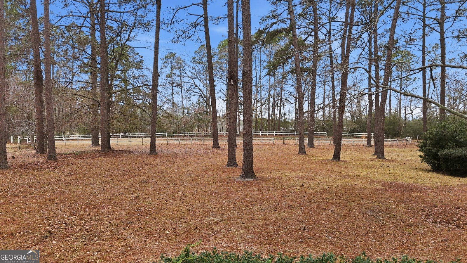 208 Timberline Road Statesboro - Photo 64