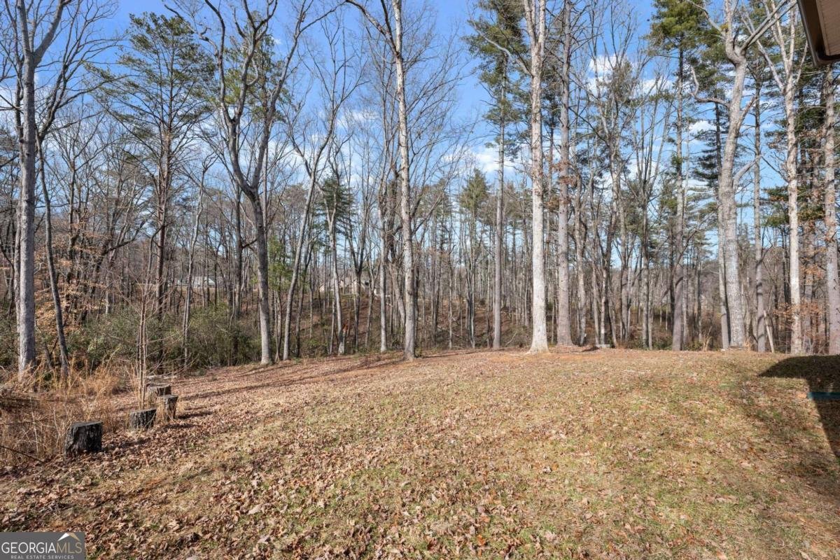 562 Yonah Lake Drive Sautee Nacoochee - Photo 31