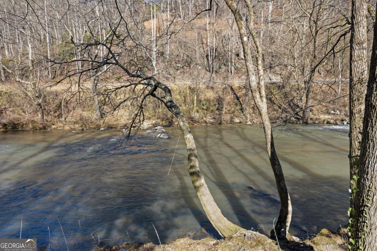 655 Riverside Drive East Ellijay - Photo 33