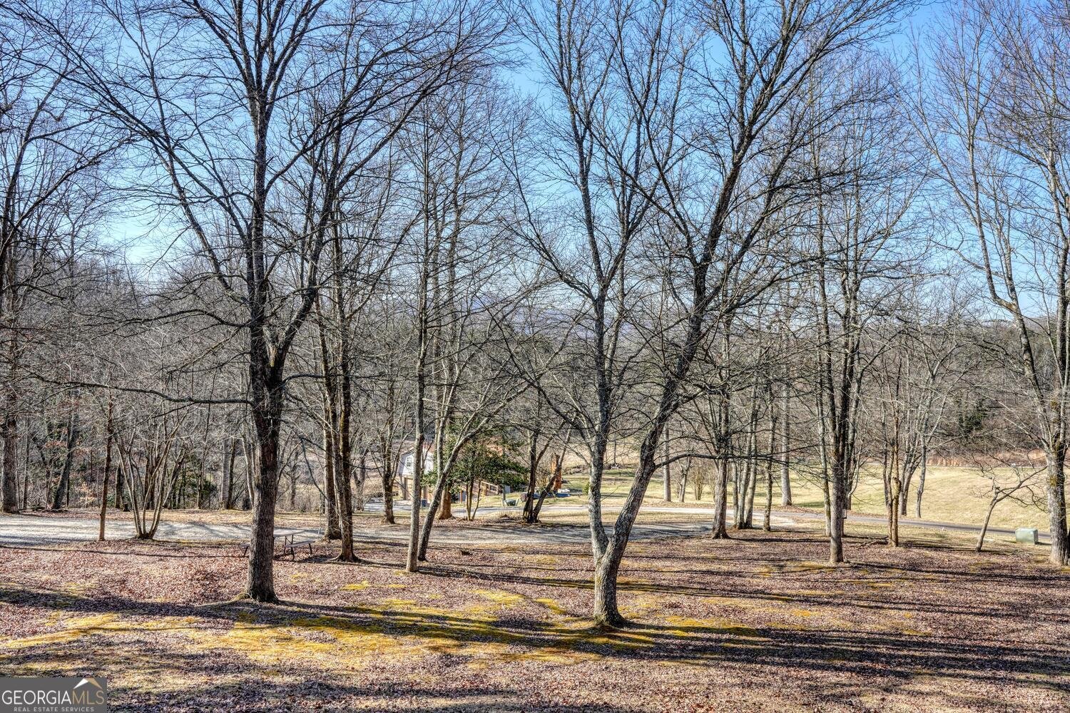 134 Warners Way Blairsville - Photo 23