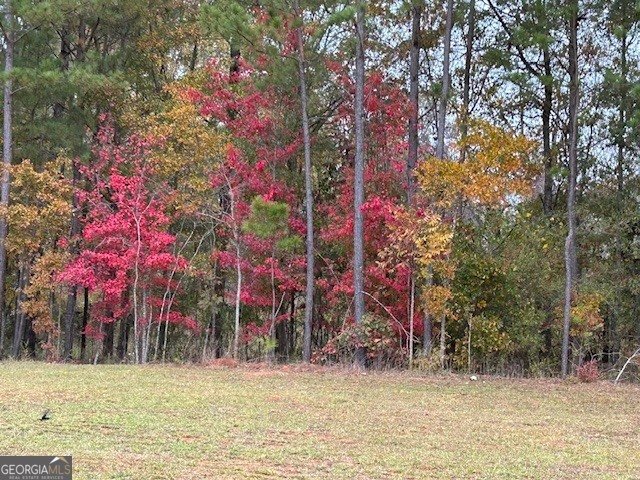 1021 Savannah Way Griffin - Photo 24