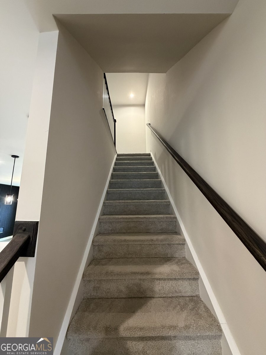 360 Salt Lake Lane Hoschton - Photo 13