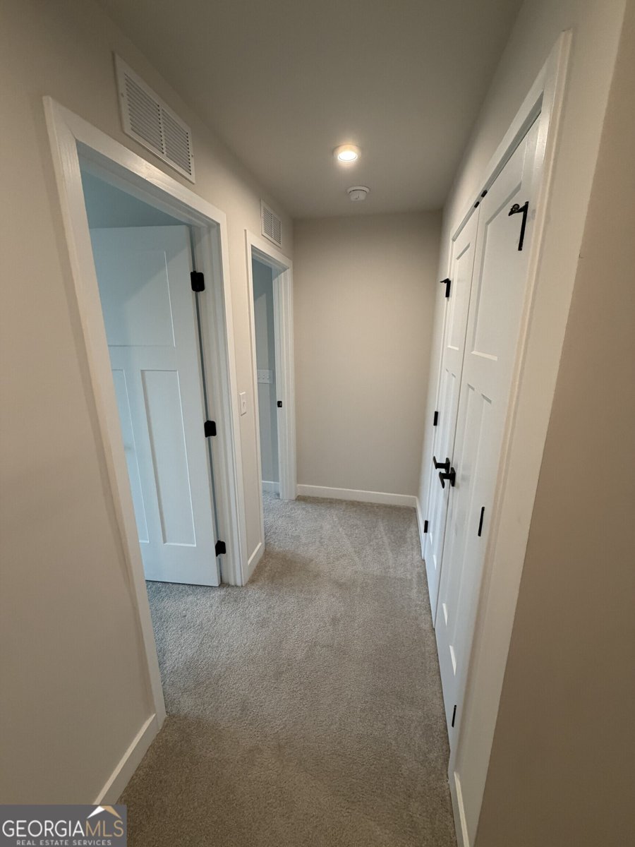 360 Salt Lake Lane Hoschton - Photo 14