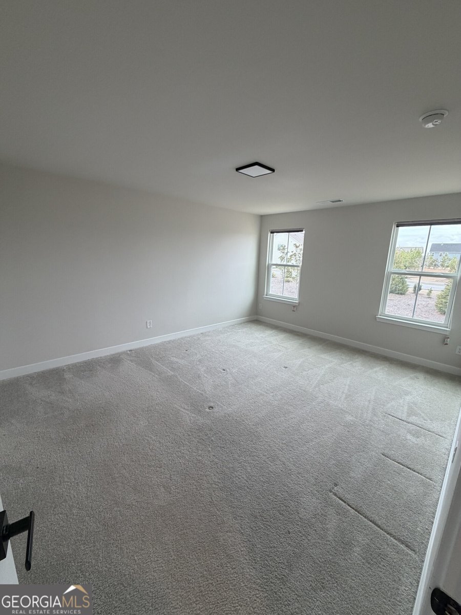 360 Salt Lake Lane Hoschton - Photo 17