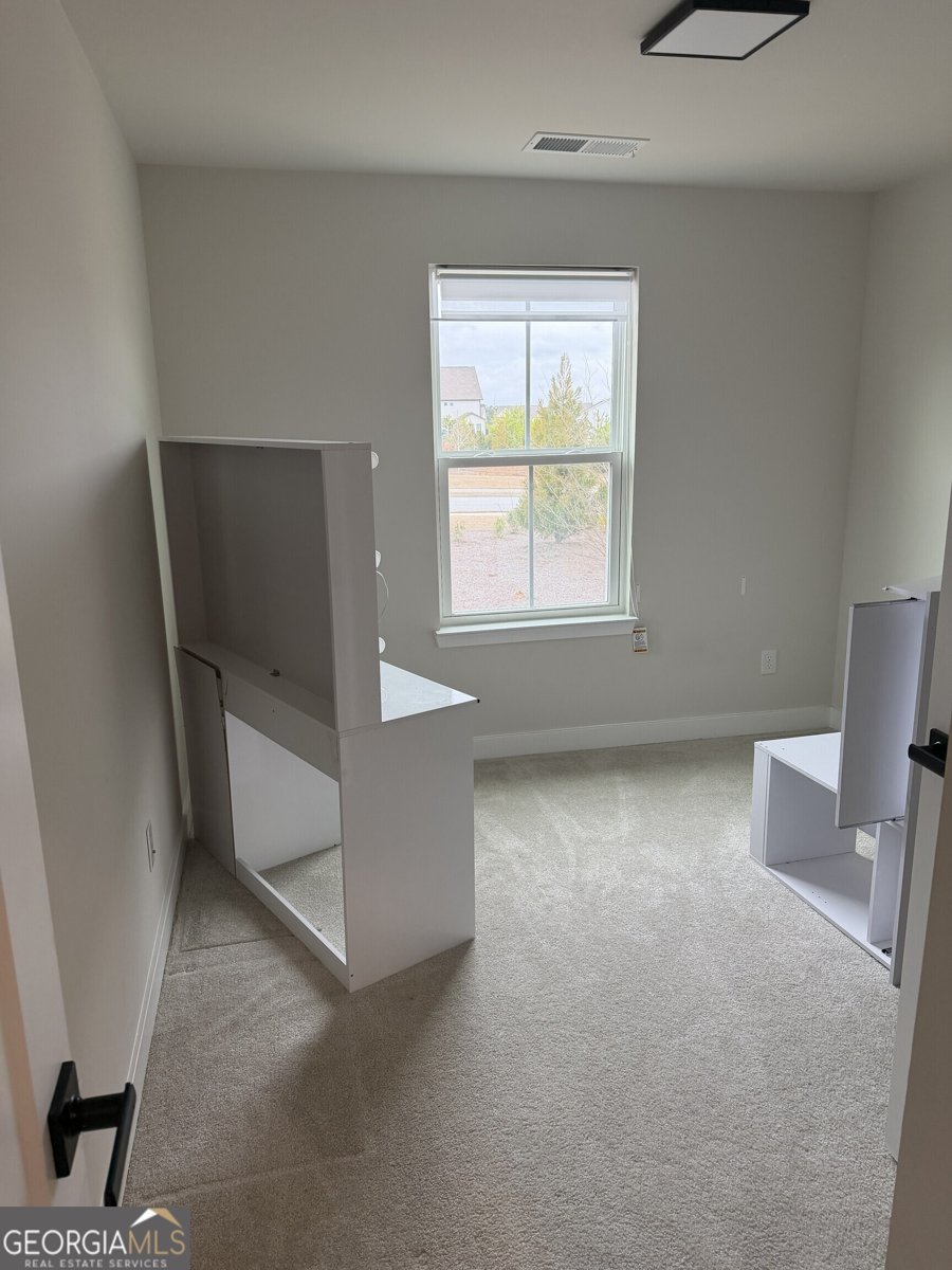 360 Salt Lake Lane Hoschton - Photo 20