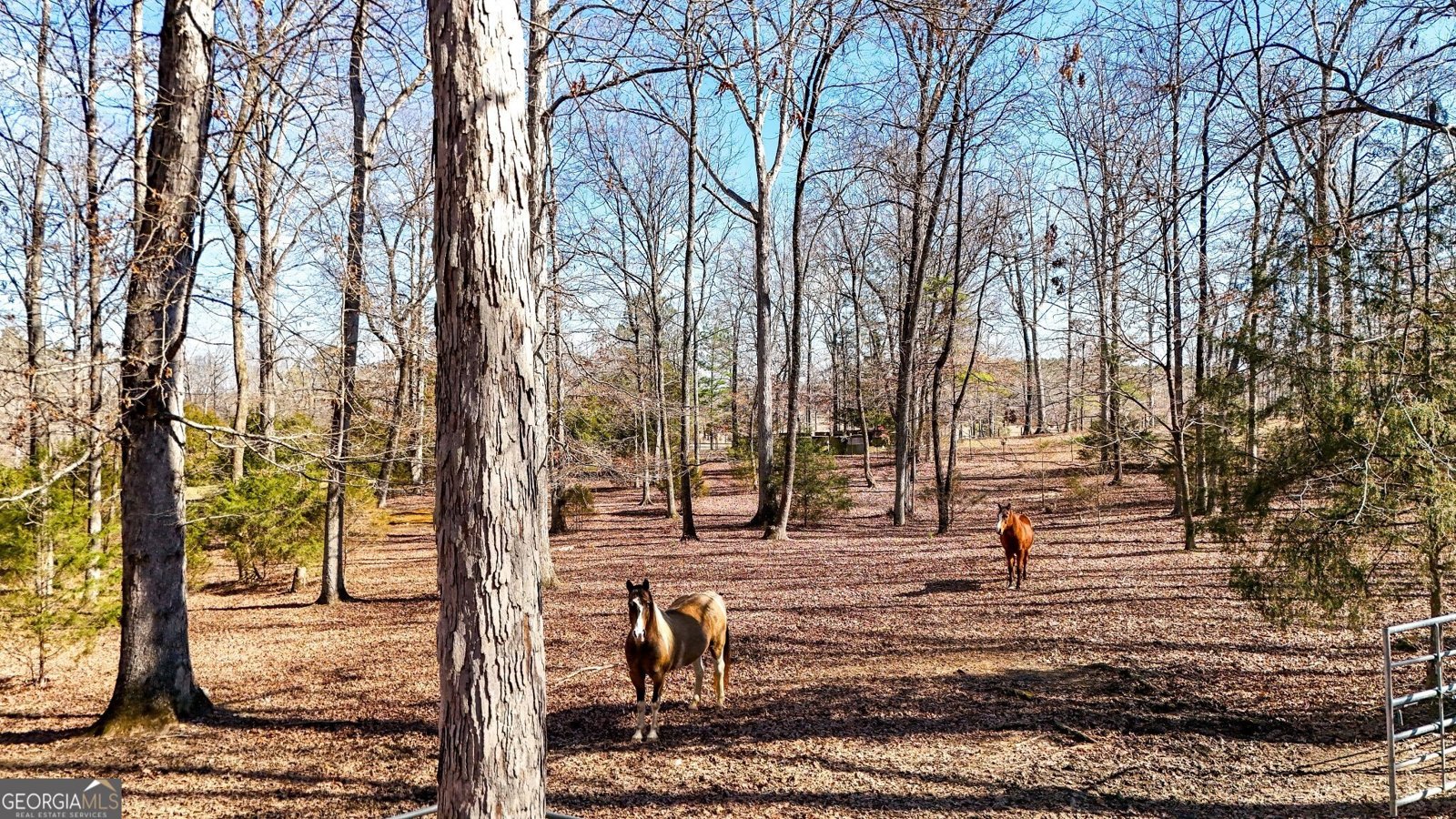 5981 Blacks Bluff Road Cave Spring - Photo 47