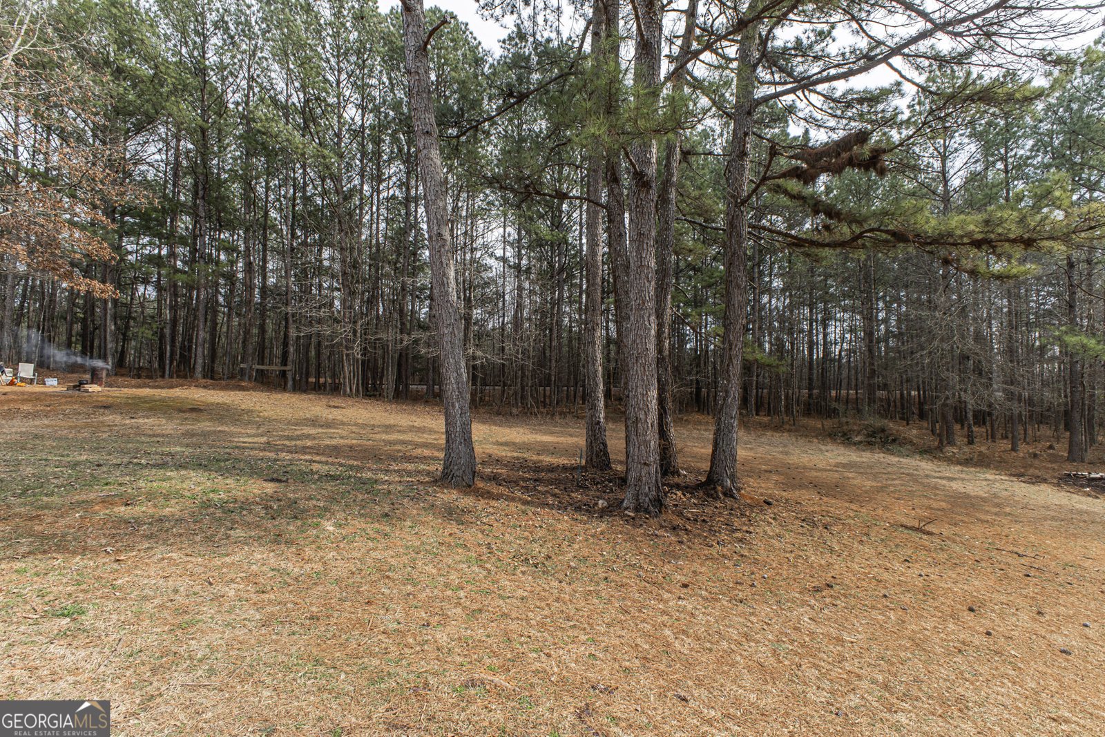 10338 Hoganville Road Hoganville - Photo 26