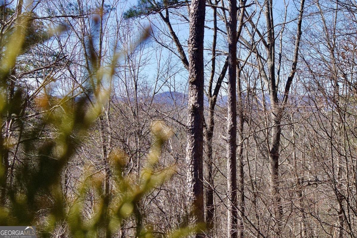 215 Zenith Trail Ellijay - Photo 59