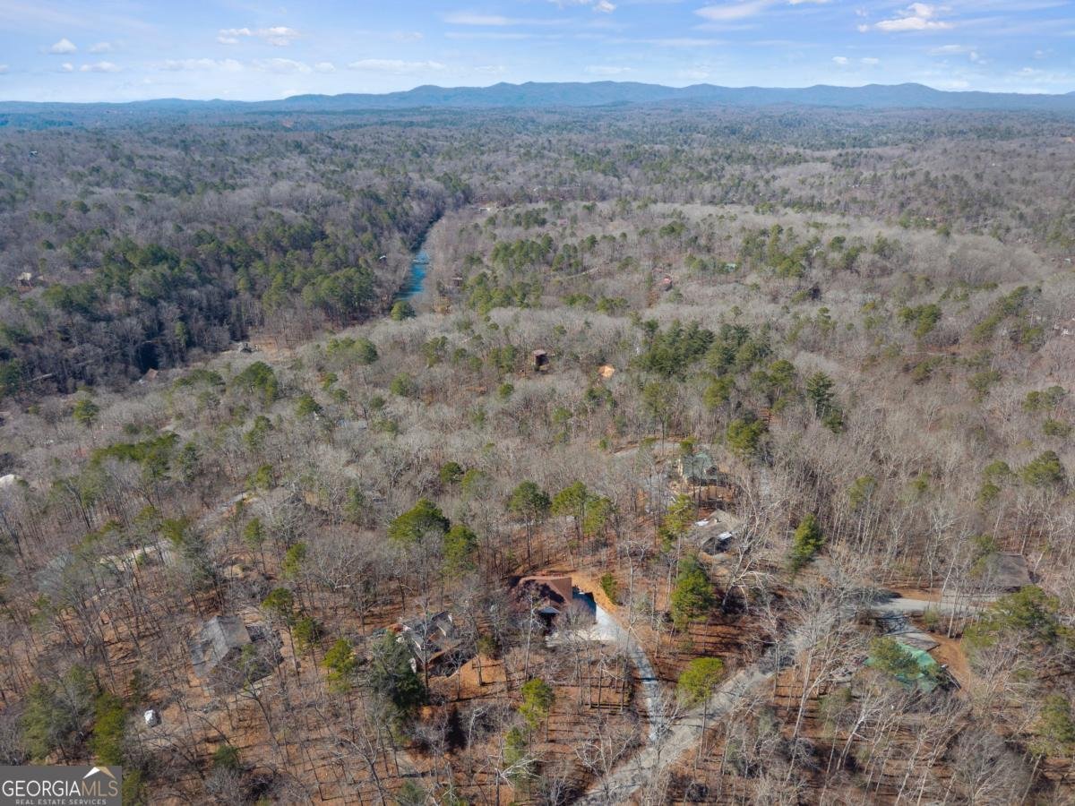 215 Zenith Trail Ellijay - Photo 60