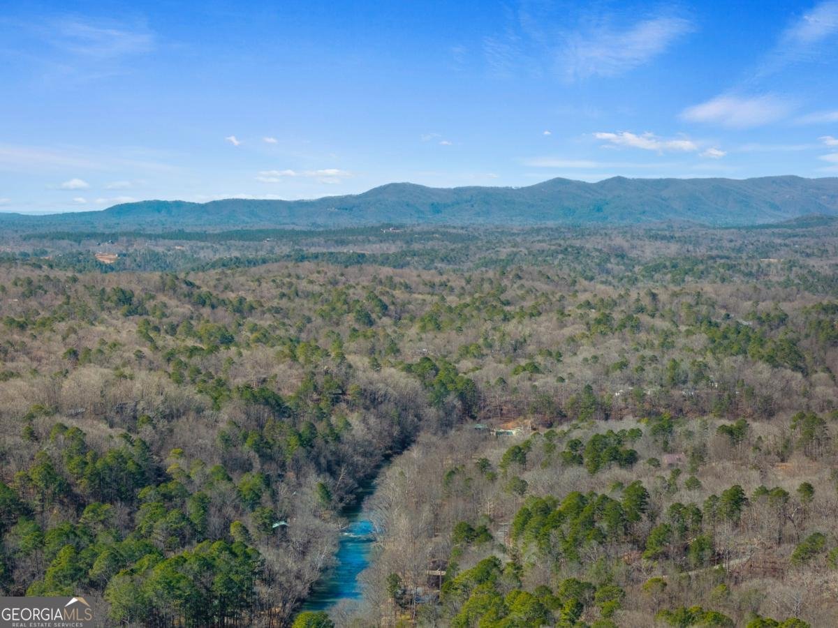 215 Zenith Trail Ellijay - Photo 61