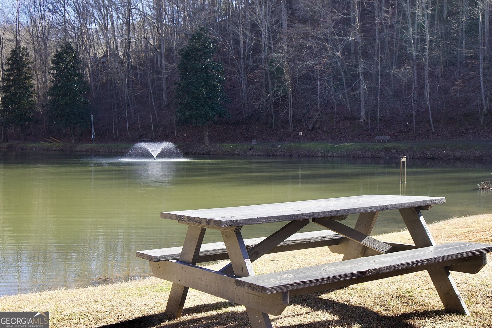 215 Zenith Trail Ellijay - Photo 71