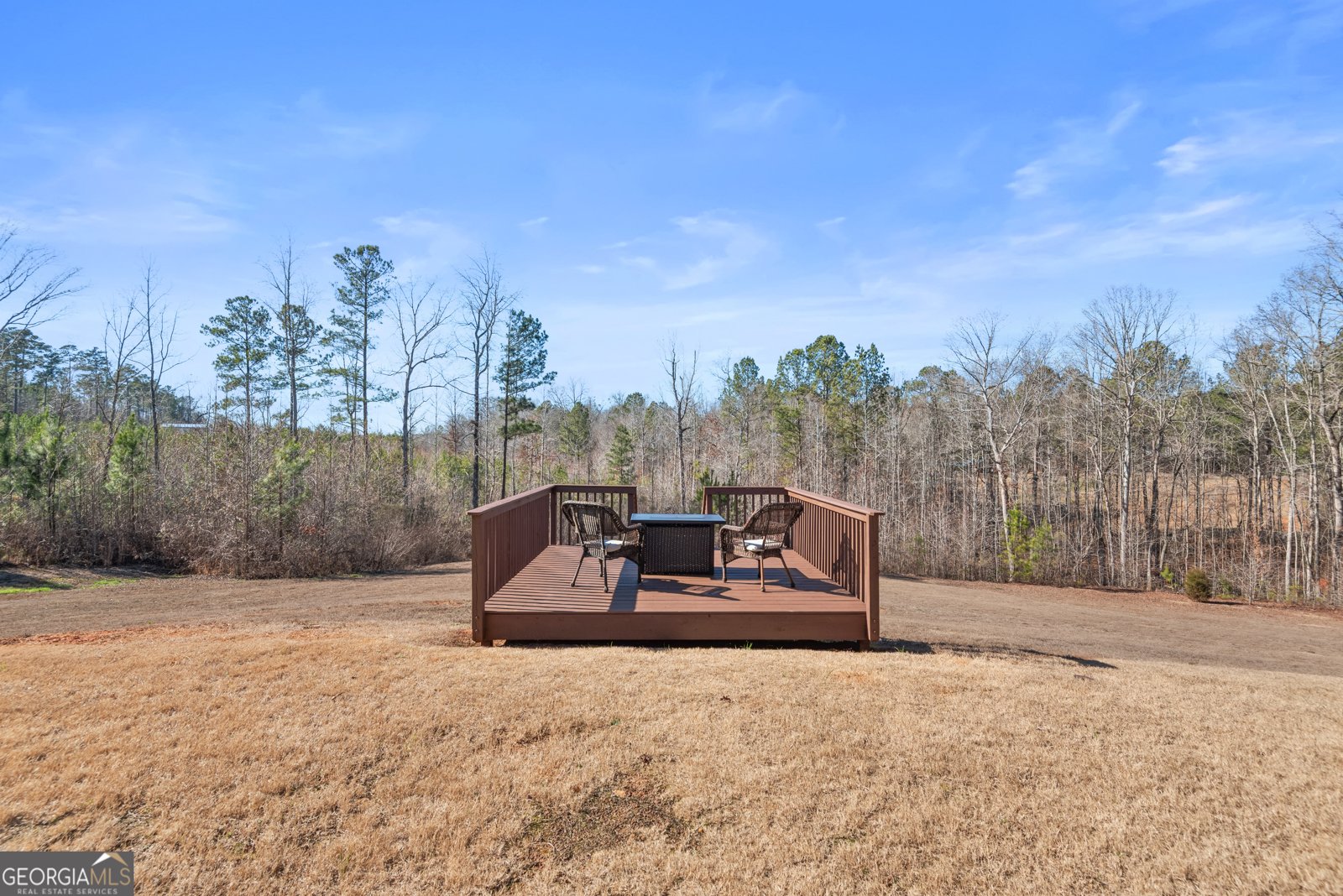 700 GA Hwy 87 Flovilla - Photo 58