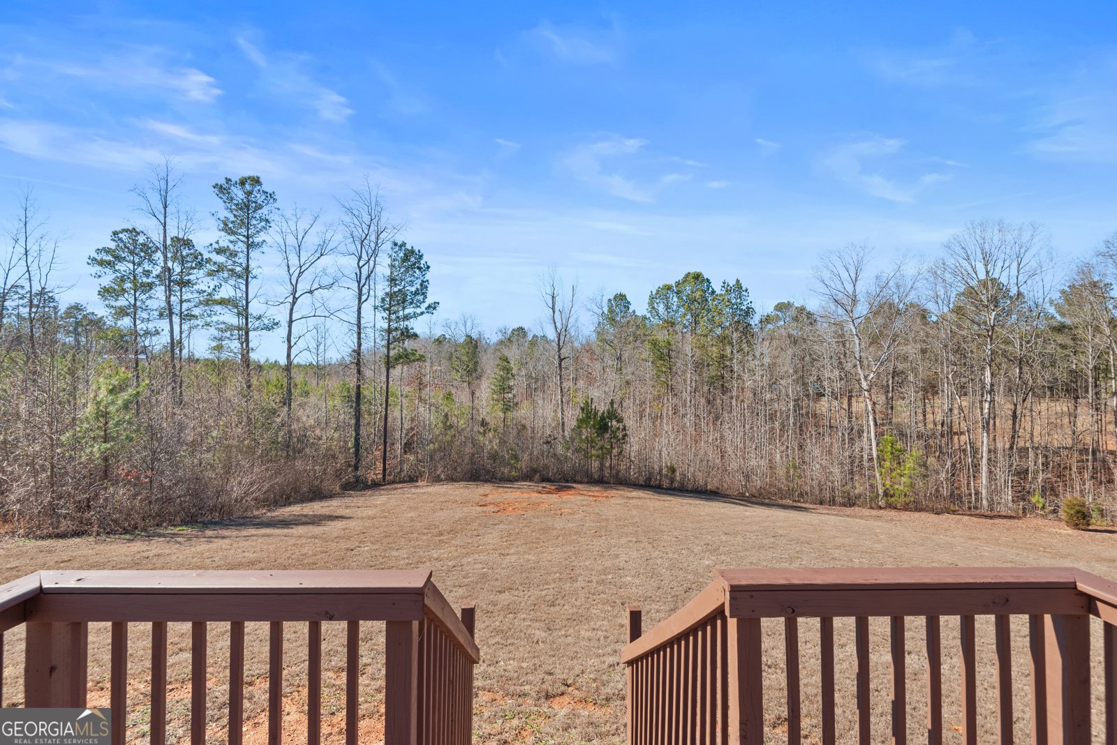 700 GA Hwy 87 Flovilla - Photo 59