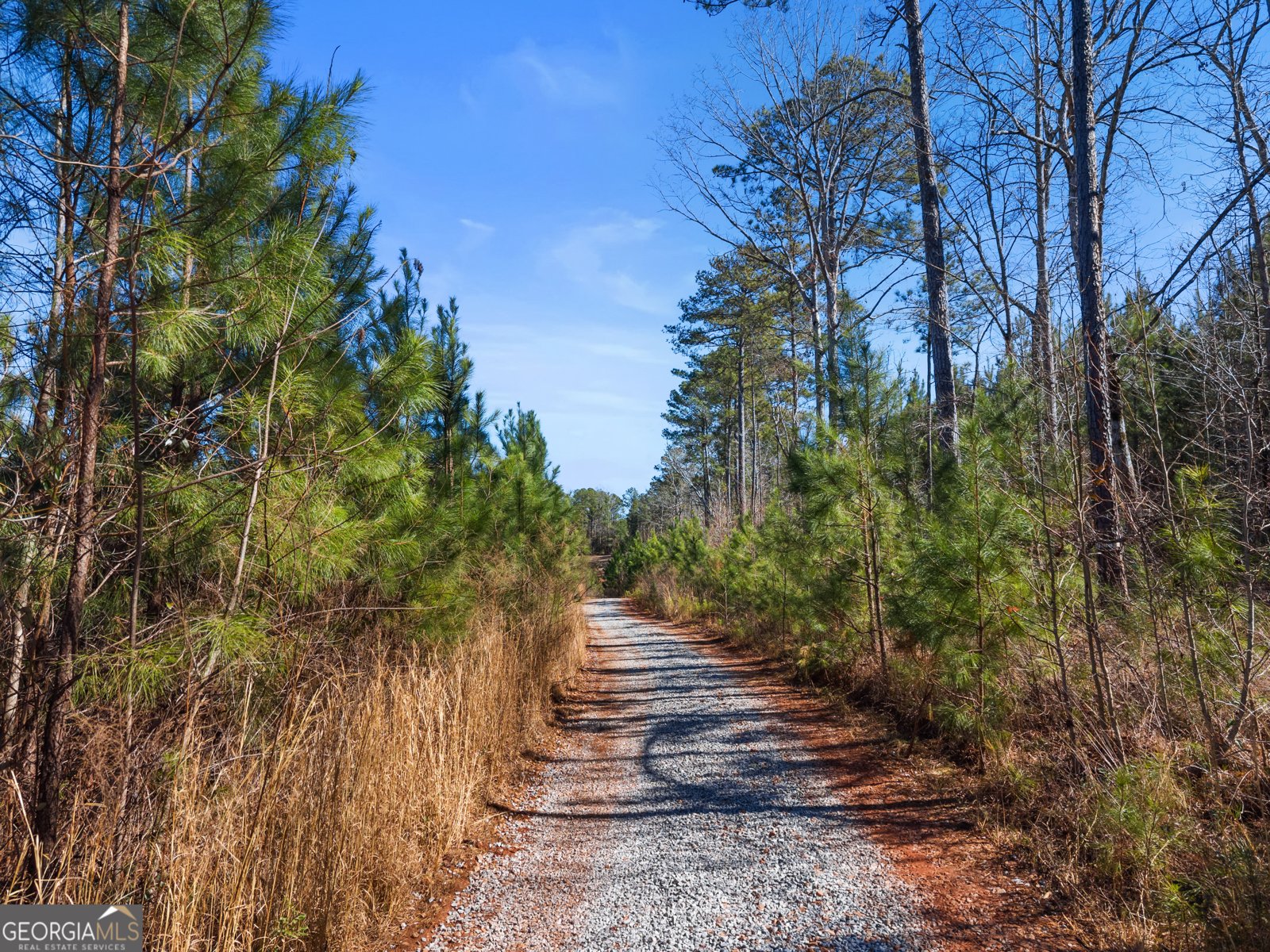 700 GA Hwy 87 Flovilla - Photo 60