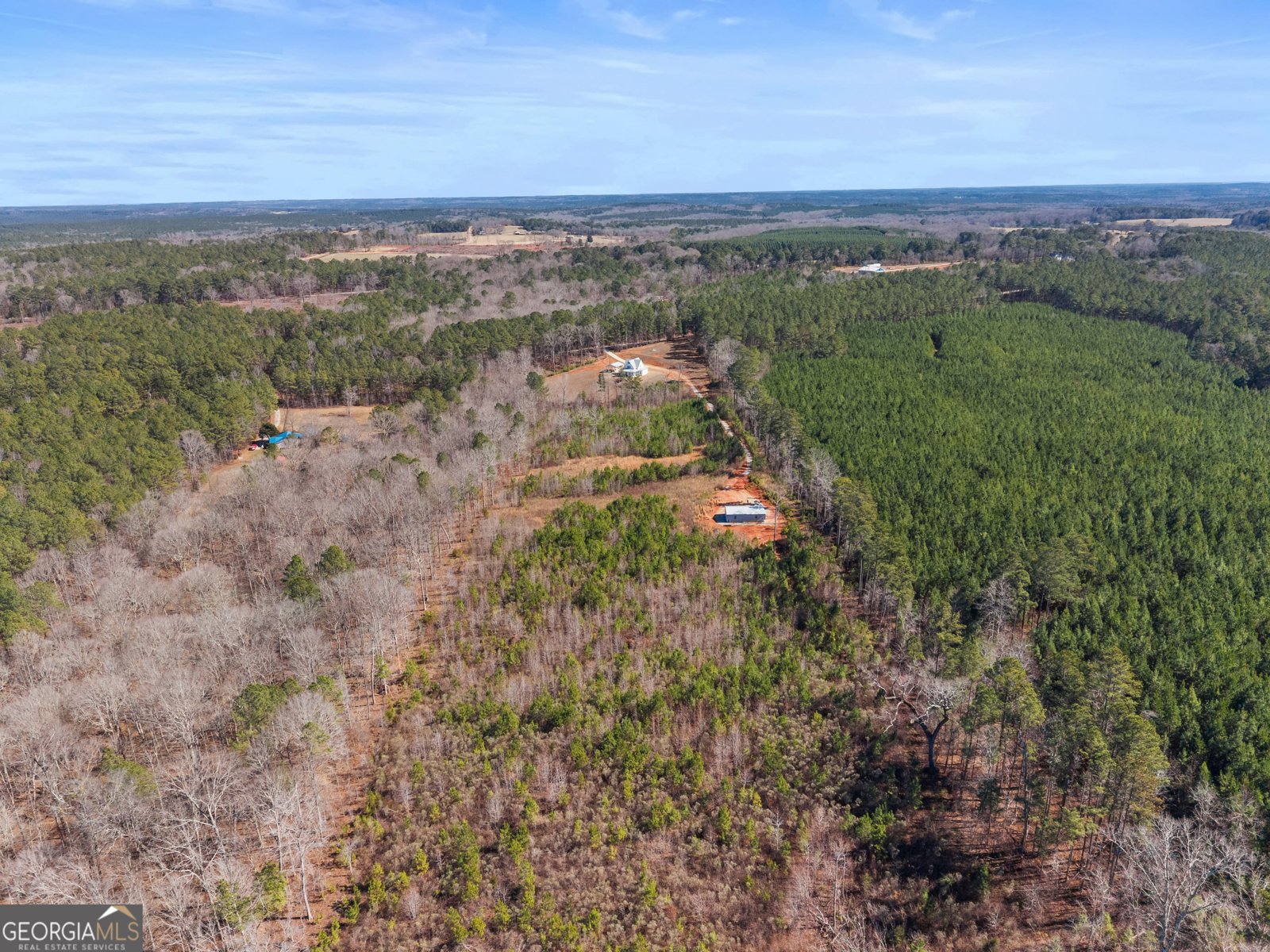 700 GA Hwy 87 Flovilla - Photo 65