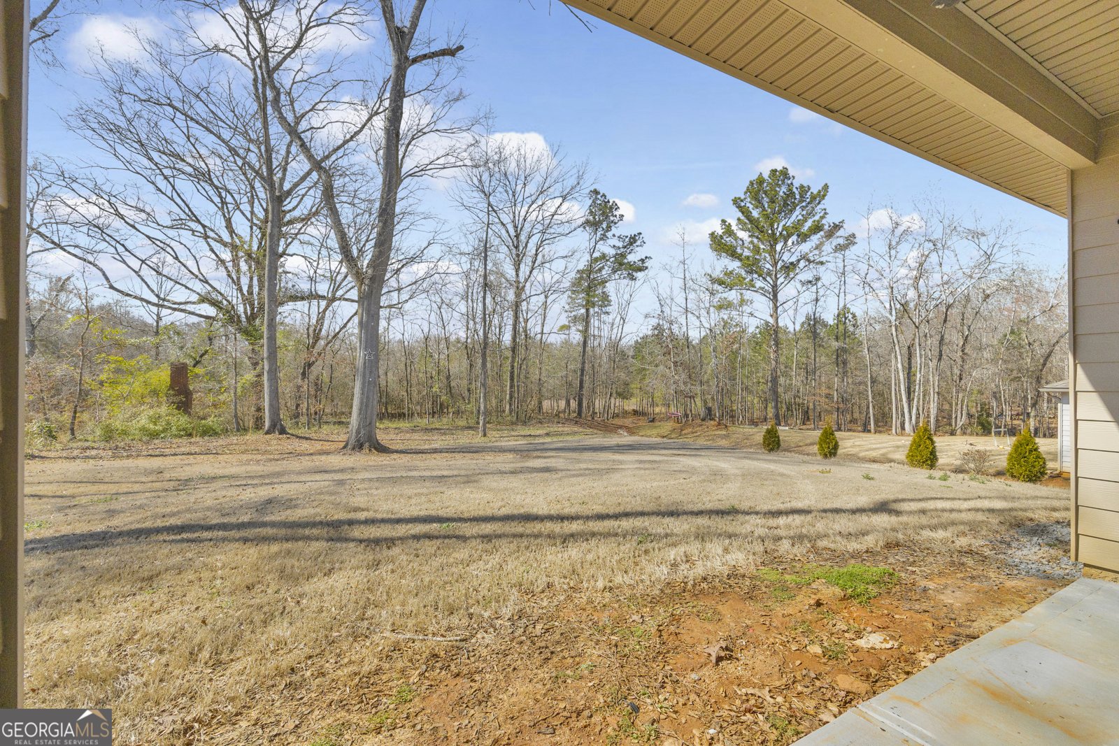 371 River Mansion Drive Jefferson - Photo 33