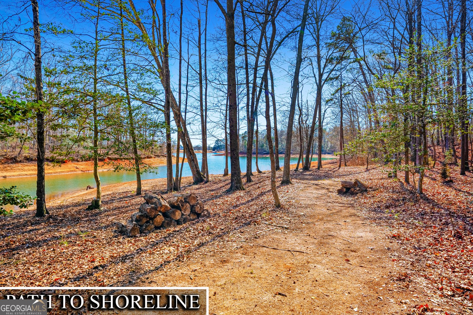 201 Lake Grove Lane Townville - Photo 26