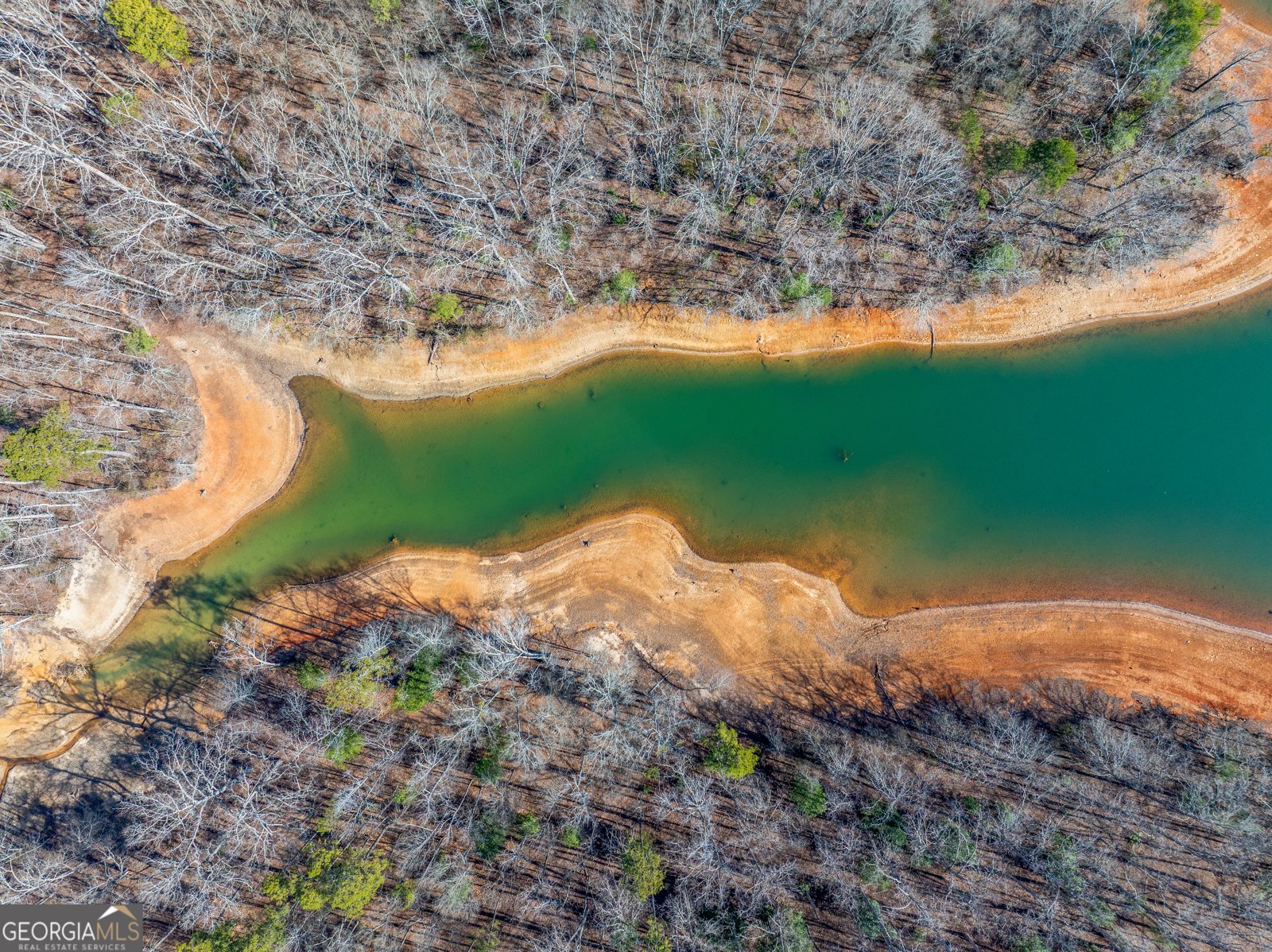 201 Lake Grove Lane Townville - Photo 33