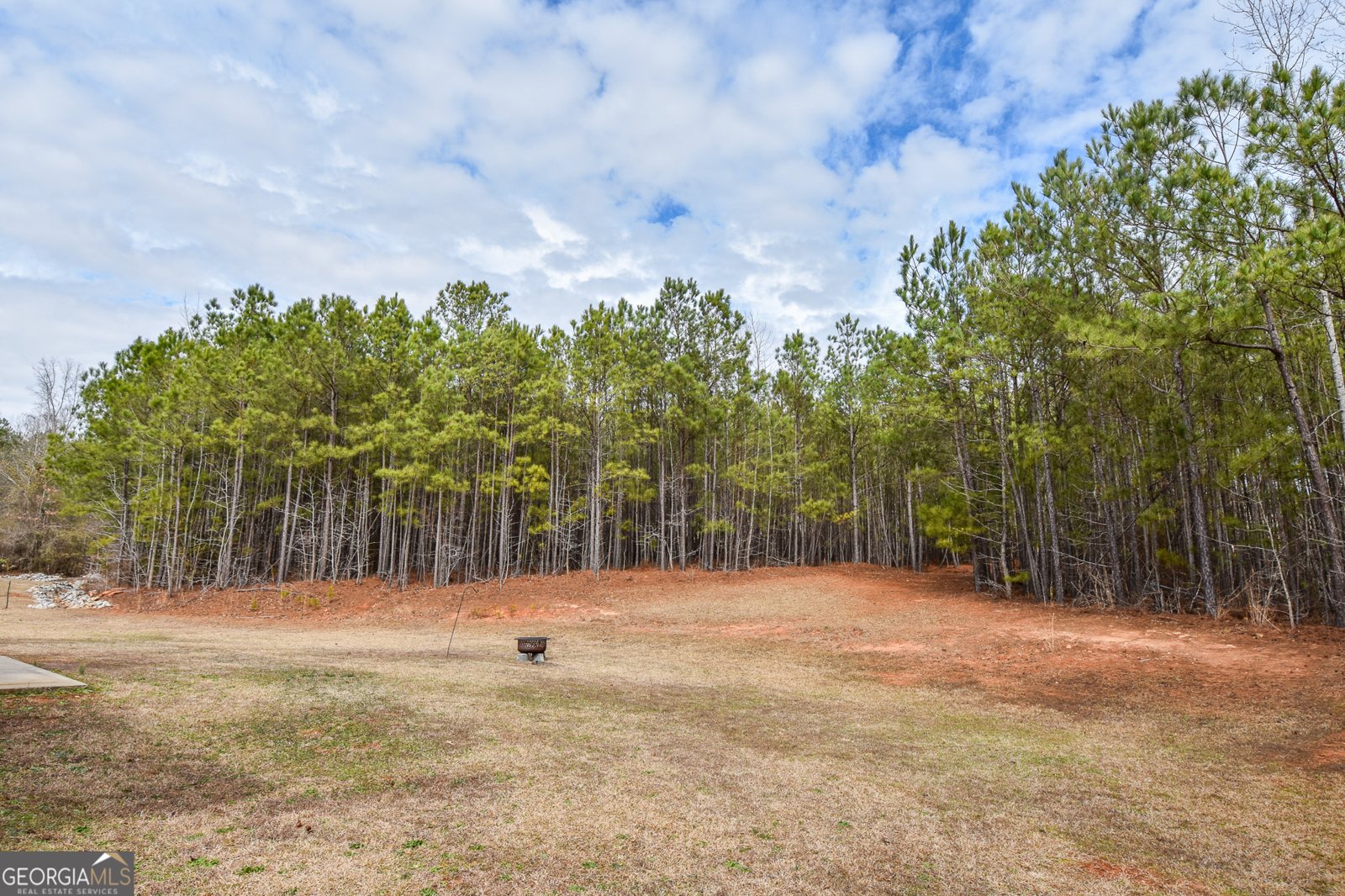 117 Bridle Path Griffin - Photo 6