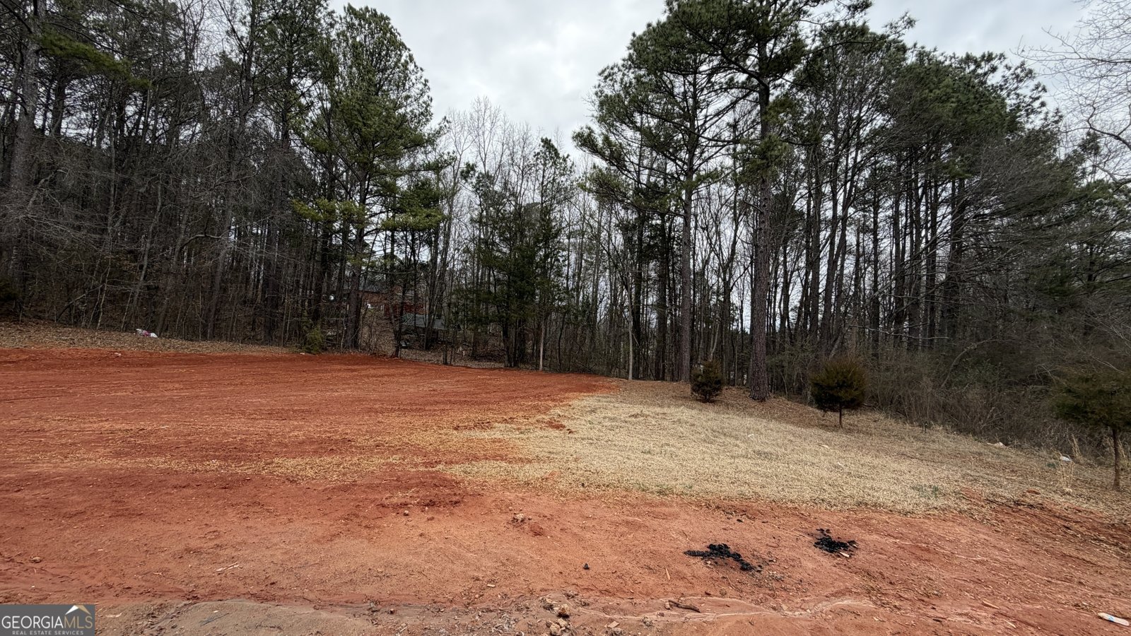 337 Ridgeway Road Maysville - Photo 32