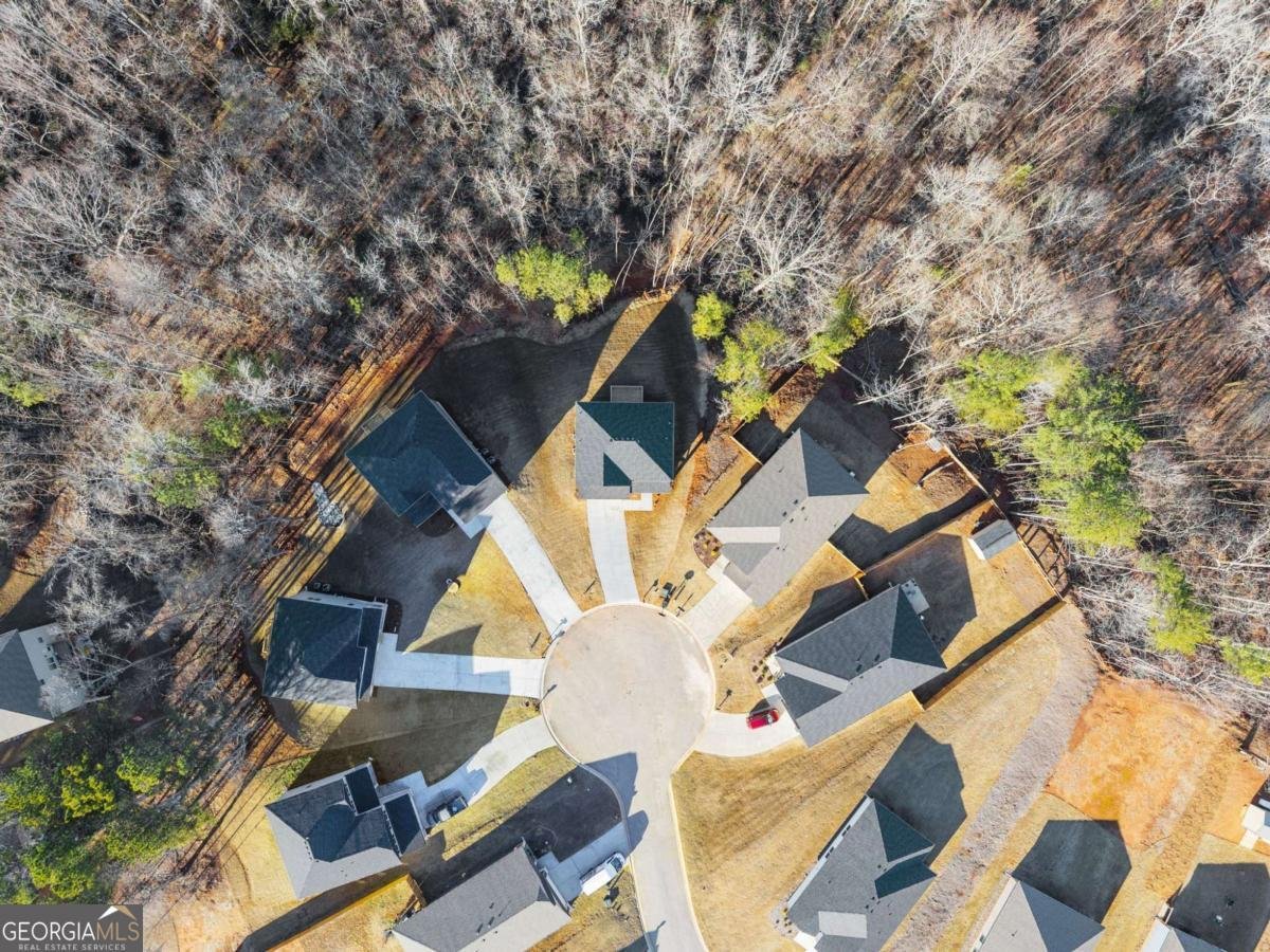 662 Forest Way Cornelia - Photo 48