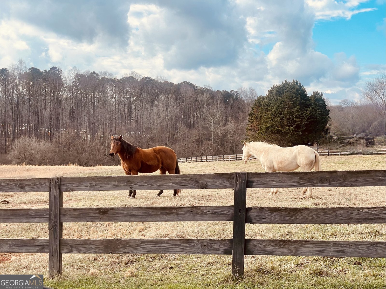 4250 Deerfield Road Cumming - Photo 61