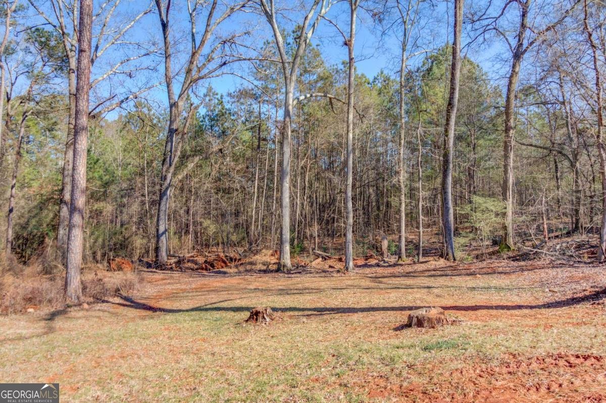 104 Jacob Drive Hoschton - Photo 37