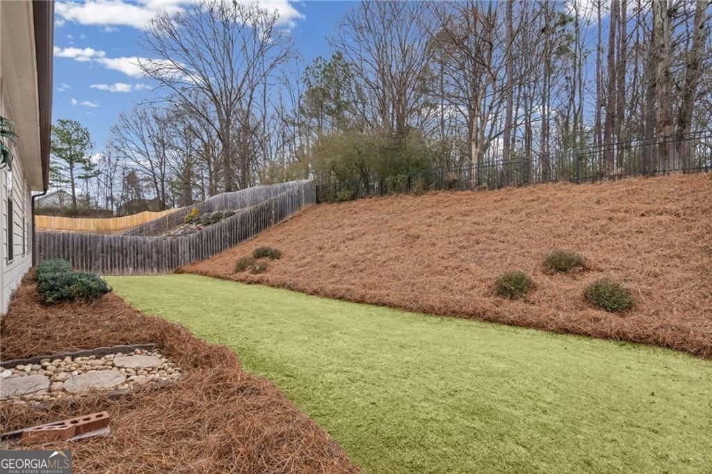 14 Frost Cove Hoschton - Photo 40