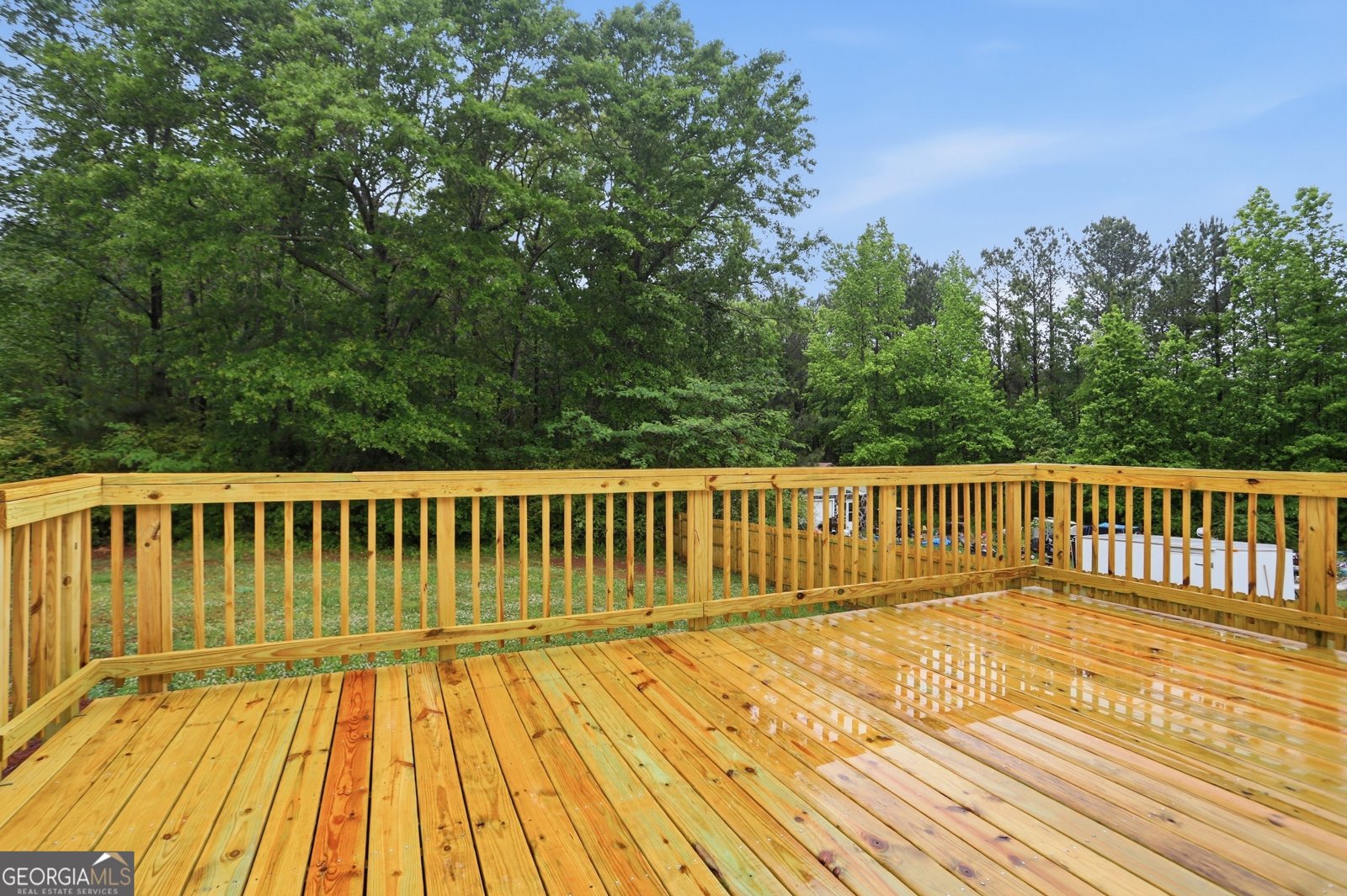93 Charlie Smith Drive Senoia - Photo 30