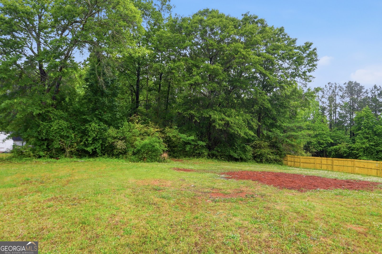 93 Charlie Smith Drive Senoia - Photo 33