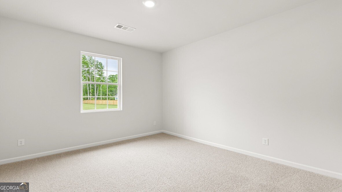 67 Capital Court Braselton - Photo 22