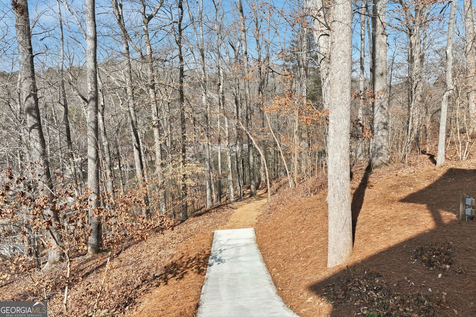 5575 Chestatee Landing Drive Gainesville - Photo 40