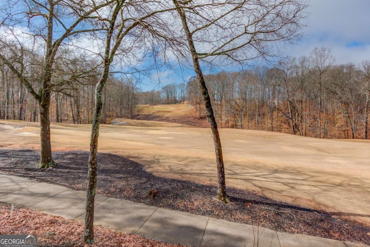 7312 Grand Reunion Drive Hoschton - Photo 49