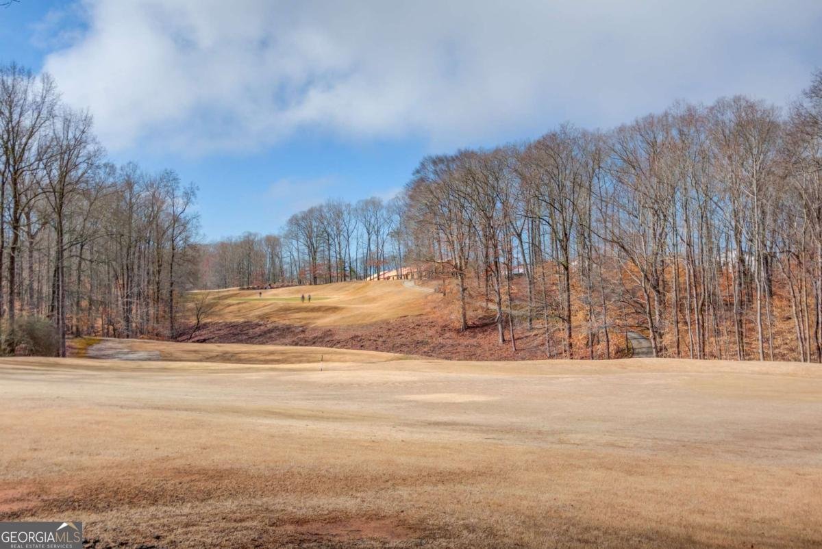 7312 Grand Reunion Drive Hoschton - Photo 57