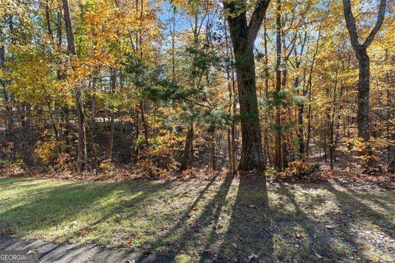 37 Oak Hill Lane Cartersville - Photo 84