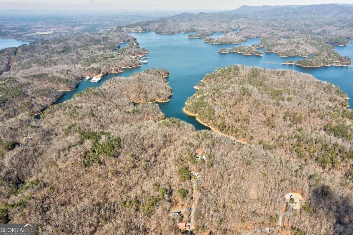 271 Zane Drive Ellijay - Photo 17