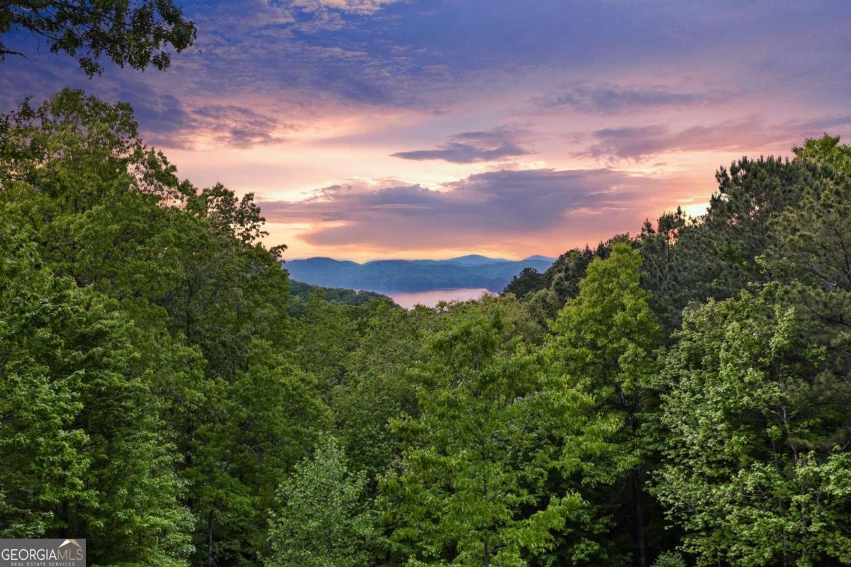 271 Zane Drive Ellijay - Photo 33