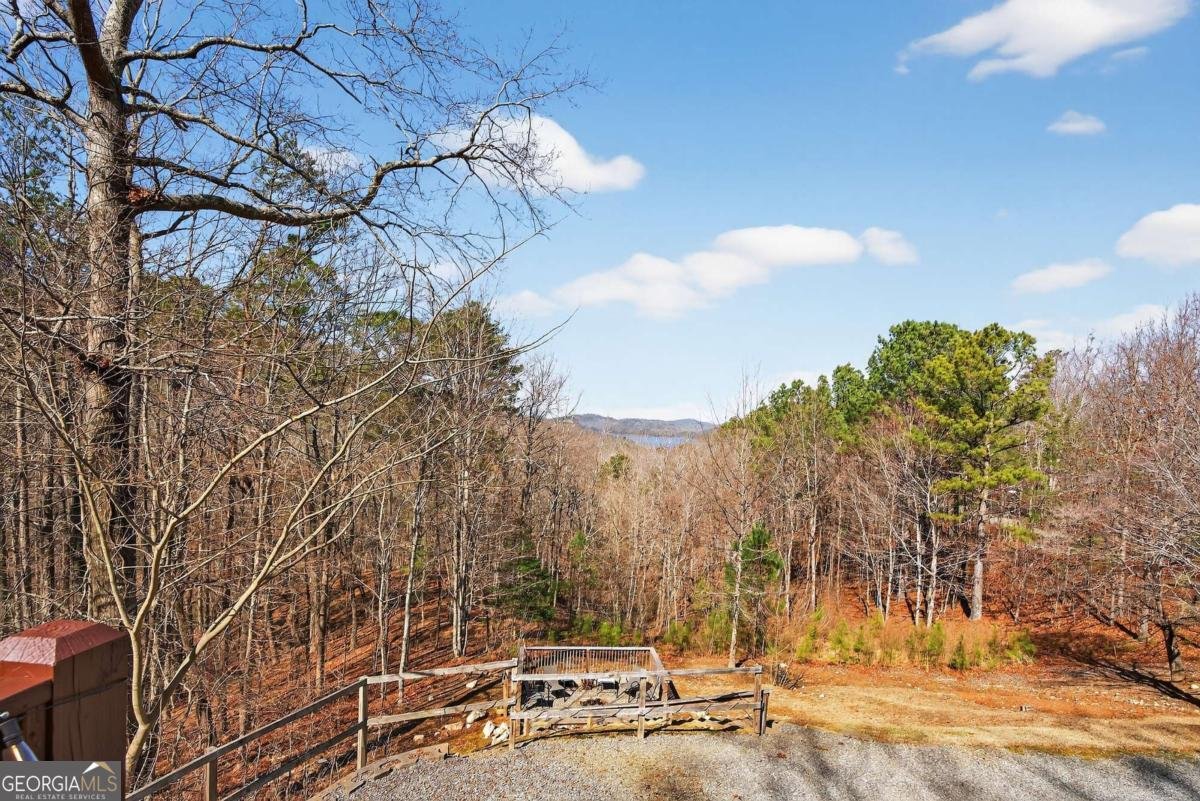 271 Zane Drive Ellijay - Photo 44