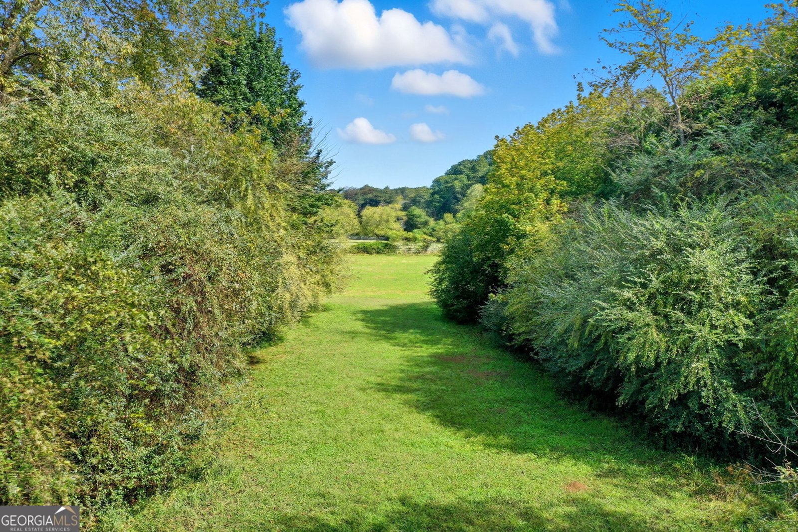 195 River Street Ellijay - Photo 50