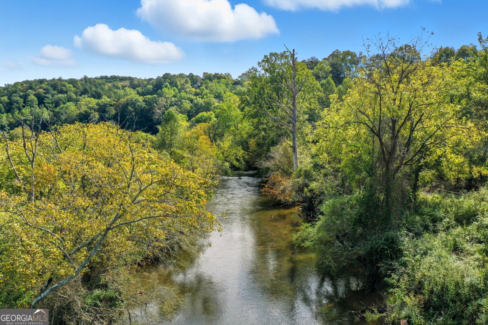 195 River Street Ellijay - Photo 52