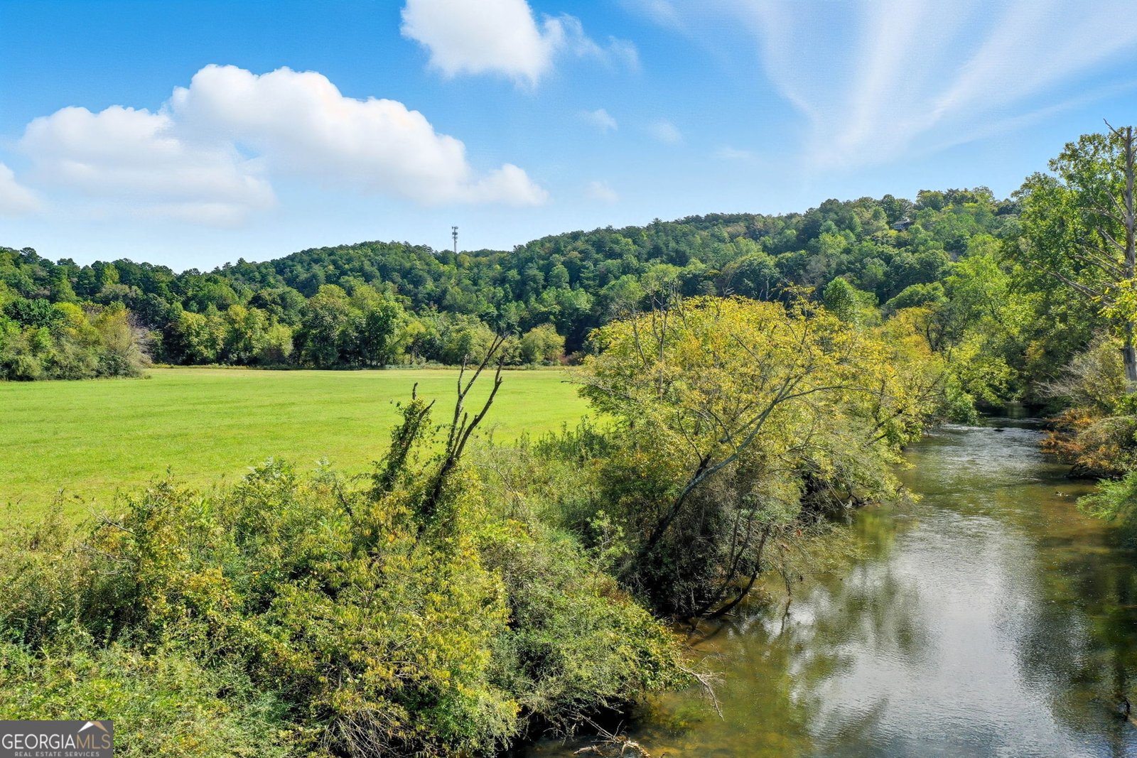 195 River Street Ellijay - Photo 8