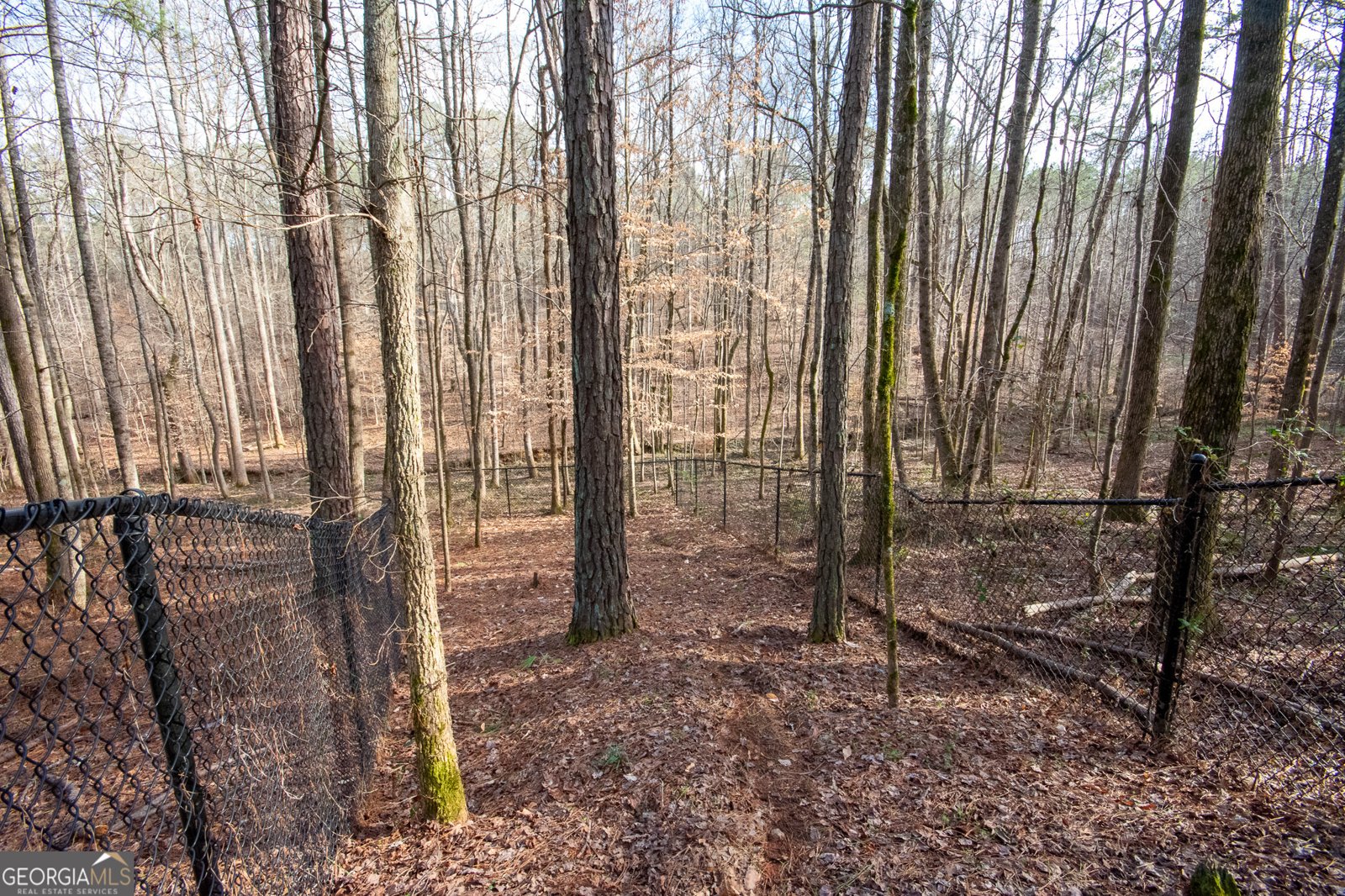 474 Clara Drive Whitesburg - Photo 35